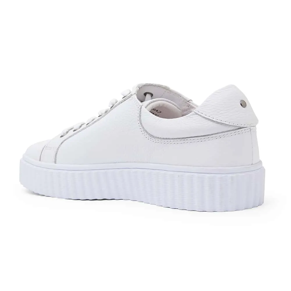 Carina Sneaker in White Leather