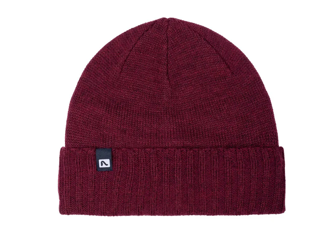 Forecaster Beanie