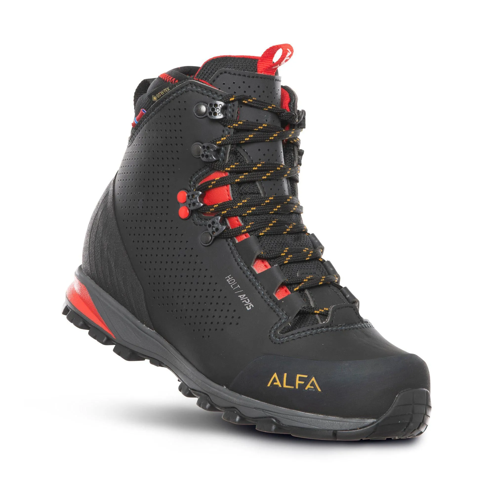 Holt A/P/S GTX W - Trekking boot women - BLACK