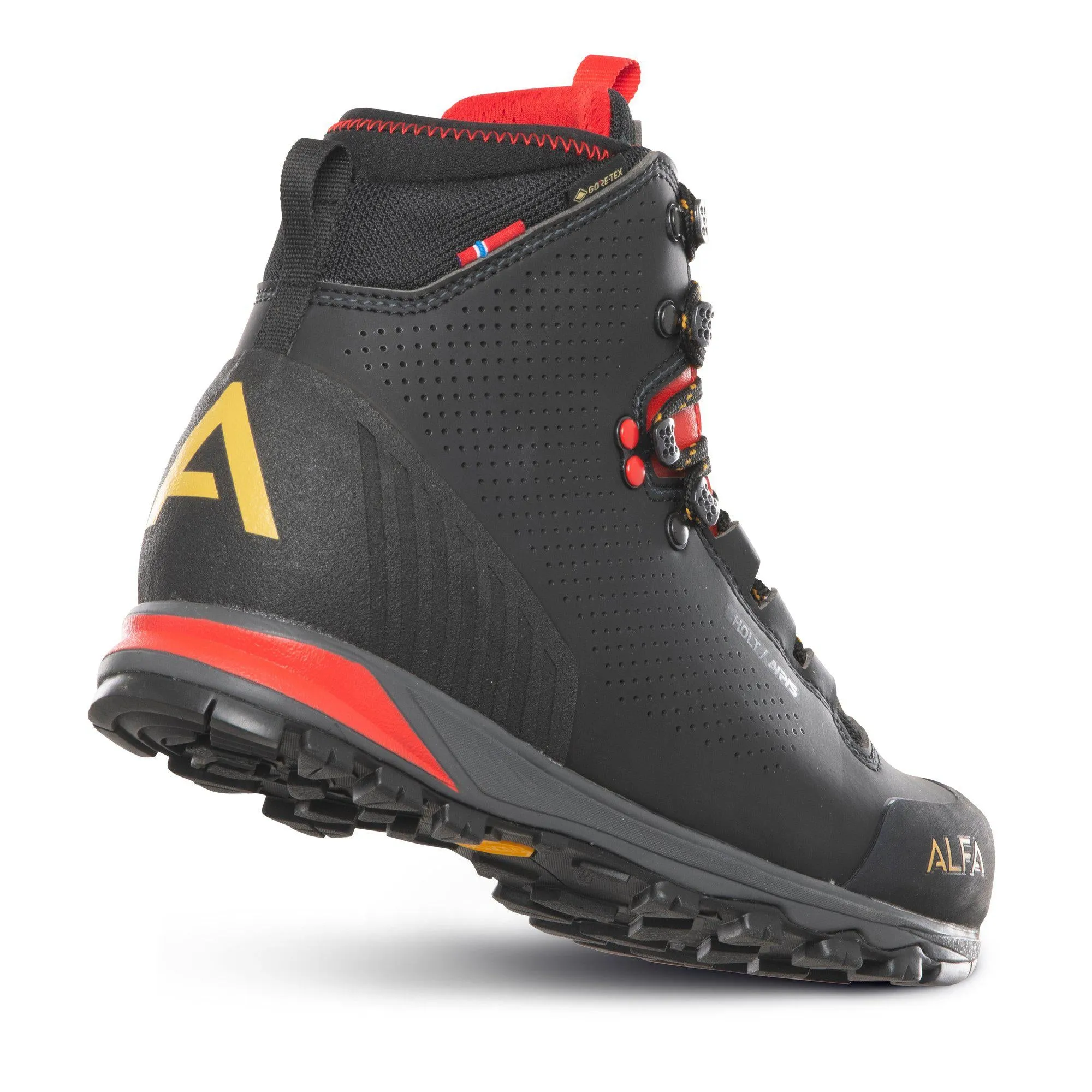 Holt A/P/S GTX W - Trekking boot women - BLACK